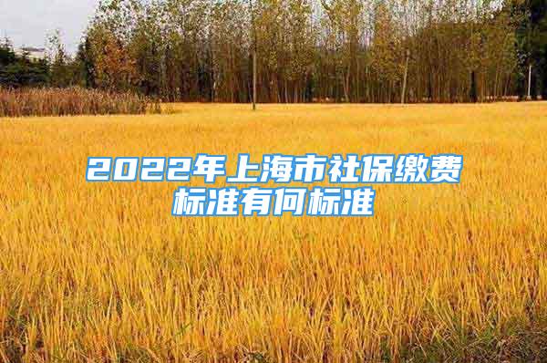 2022年上海市社保缴费标准有何标准