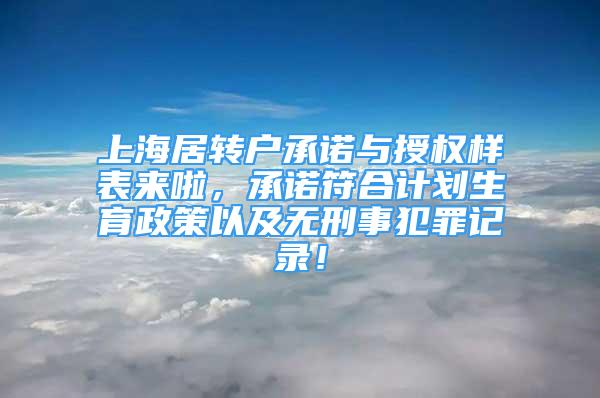 上海居转户承诺与授权样表来啦，承诺符合计划生育政策以及无刑事犯罪记录！