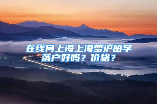 在线问上海上海萝沪留学落户好吗？价格？