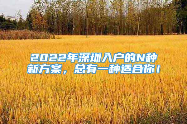 2022年深圳入户的N种新方案，总有一种适合你！
