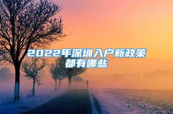 2022年深圳入户新政策都有哪些