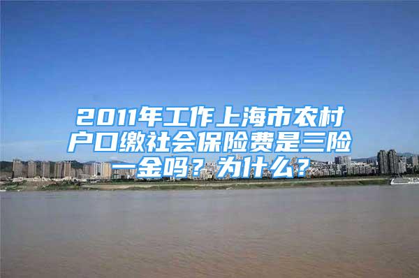 2011年工作上海市农村户口缴社会保险费是三险一金吗？为什么？