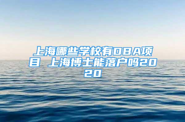 上海哪些学校有DBA项目 上海博士能落户吗2020