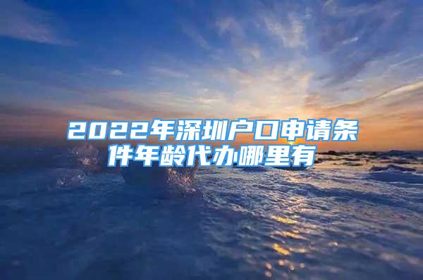 2022年深圳户口申请条件年龄代办哪里有