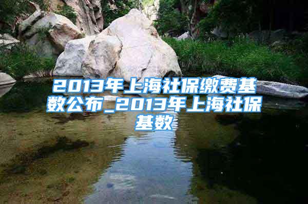 2013年上海社保缴费基数公布_2013年上海社保基数