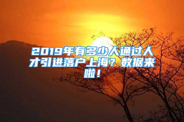 2019年有多少人通过人才引进落户上海？数据来啦！