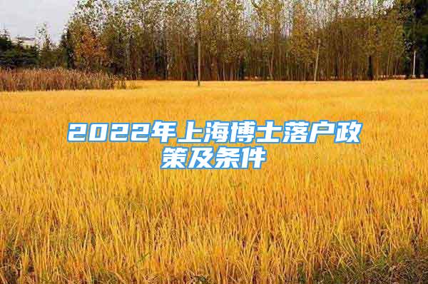 2022年上海博士落户政策及条件