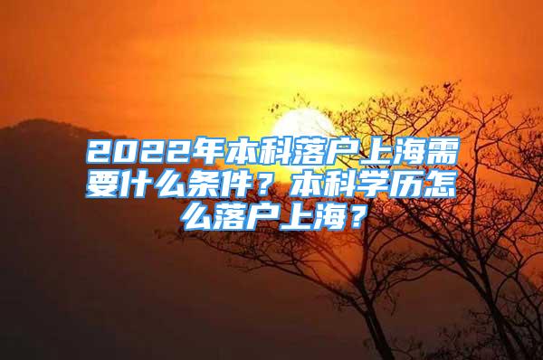 2022年本科落户上海需要什么条件？本科学历怎么落户上海？