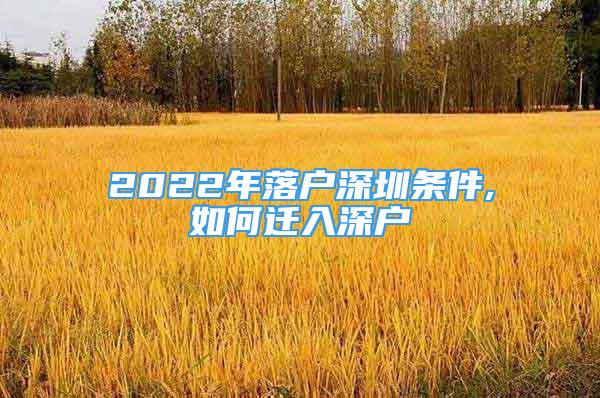 2022年落户深圳条件,如何迁入深户
