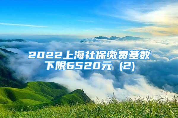 2022上海社保缴费基数下限6520元 (2)