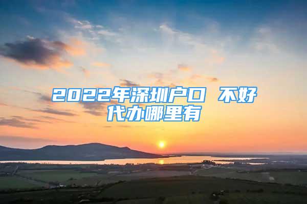 2022年深圳户口 不好代办哪里有