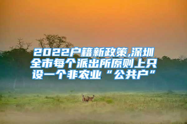 2022户籍新政策,深圳全市每个派出所原则上只设一个非农业“公共户”
