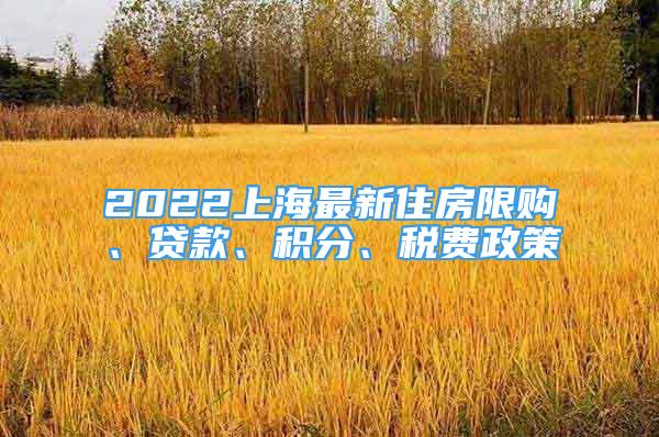 2022上海最新住房限购、贷款、积分、税费政策