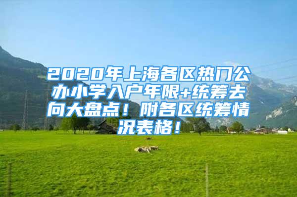 2020年上海各区热门公办小学入户年限+统筹去向大盘点！附各区统筹情况表格！