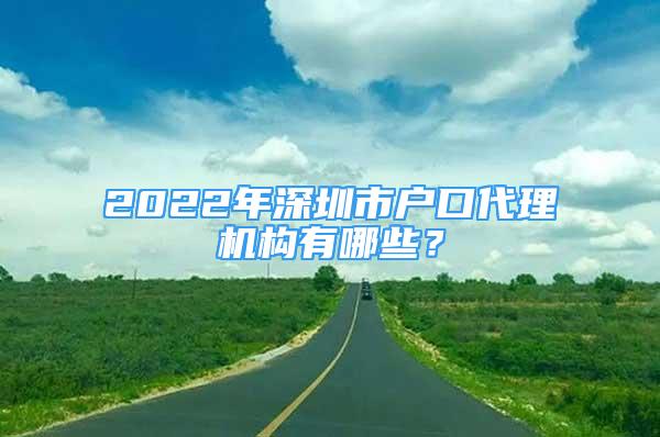 2022年深圳市户口代理机构有哪些？