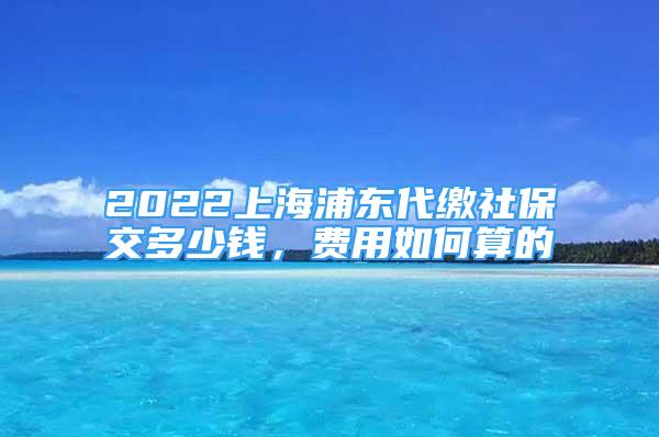 2022上海浦东代缴社保交多少钱，费用如何算的