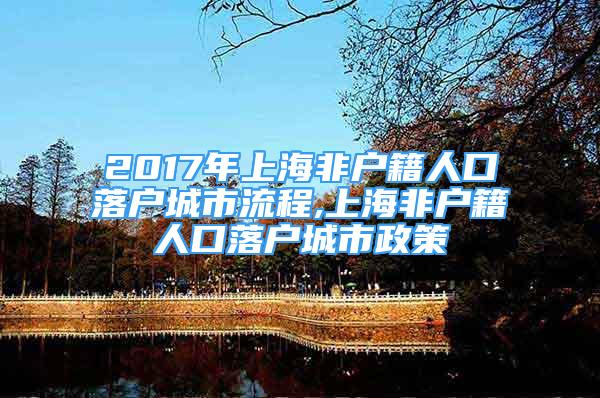 2017年上海非户籍人口落户城市流程,上海非户籍人口落户城市政策