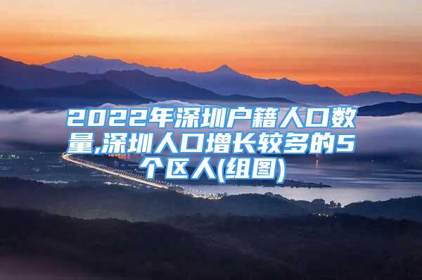 2022年深圳户籍人口数量,深圳人口增长较多的5个区人(组图)