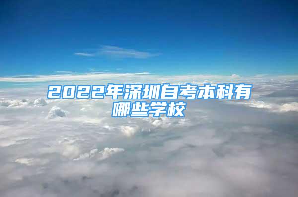 2022年深圳自考本科有哪些学校