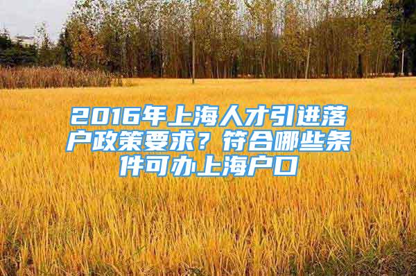 2016年上海人才引进落户政策要求？符合哪些条件可办上海户口