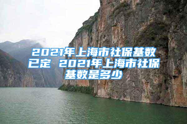 2021年上海市社保基数已定 2021年上海市社保基数是多少