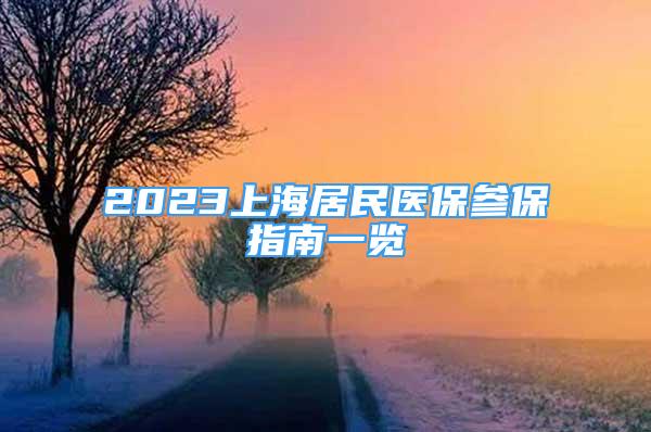 2023上海居民医保参保指南一览