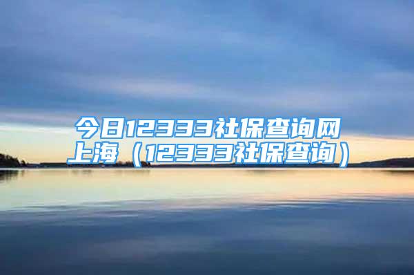 今日12333社保查询网上海（12333社保查询）