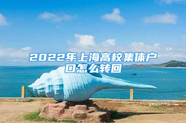 2022年上海高校集体户口怎么转回