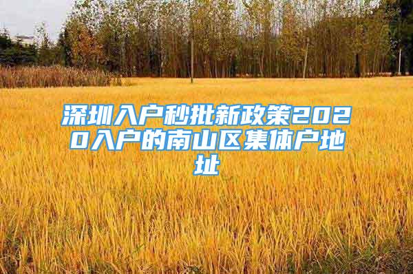 深圳入户秒批新政策2020入户的南山区集体户地址