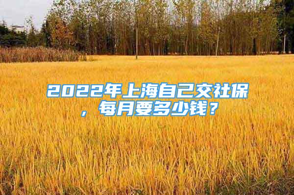 2022年上海自己交社保，每月要多少钱？