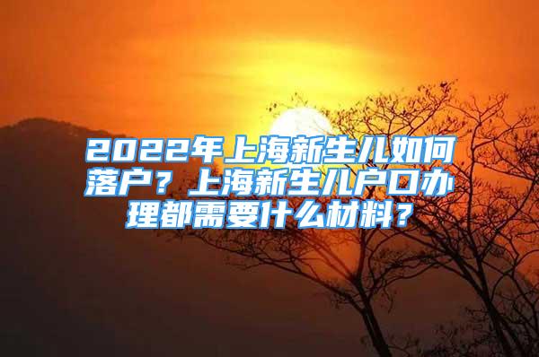 2022年上海新生儿如何落户？上海新生儿户口办理都需要什么材料？