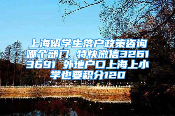 上海留学生落户政策咨询哪个部门 特快微信32613691 外地户口上海上小学也要积分120