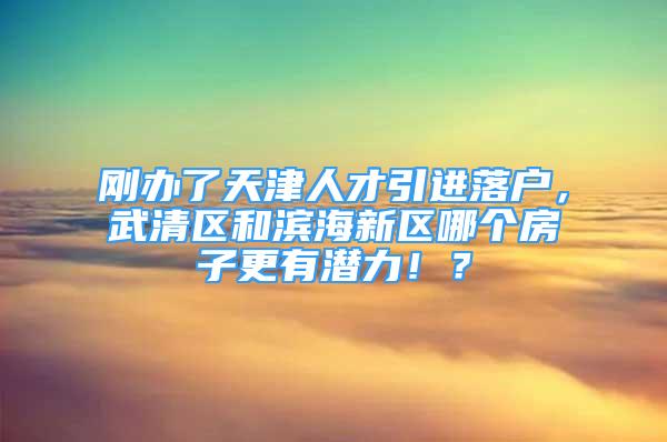 刚办了天津人才引进落户，武清区和滨海新区哪个房子更有潜力！？