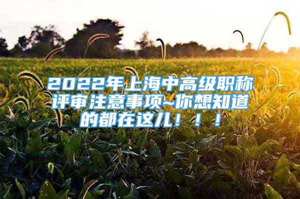 2022年上海中高级职称评审注意事项~你想知道的都在这儿！！！