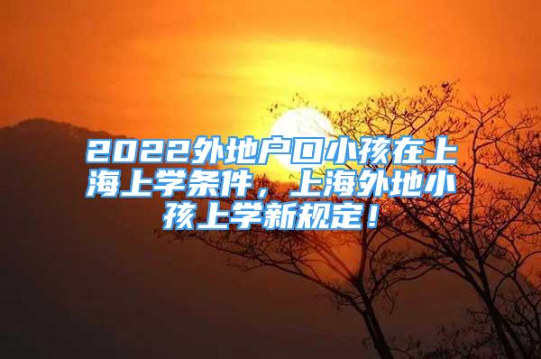 2022外地户口小孩在上海上学条件，上海外地小孩上学新规定！