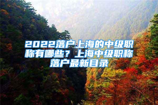 2022落户上海的中级职称有哪些？上海中级职称落户最新目录