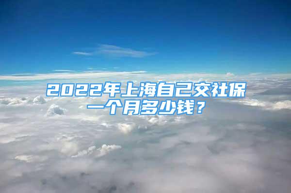 2022年上海自己交社保一个月多少钱？