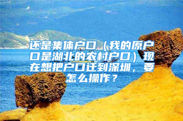 还是集体户口（我的原户口是湖北的农村户口）现在想把户口迁到深圳，要怎么操作？