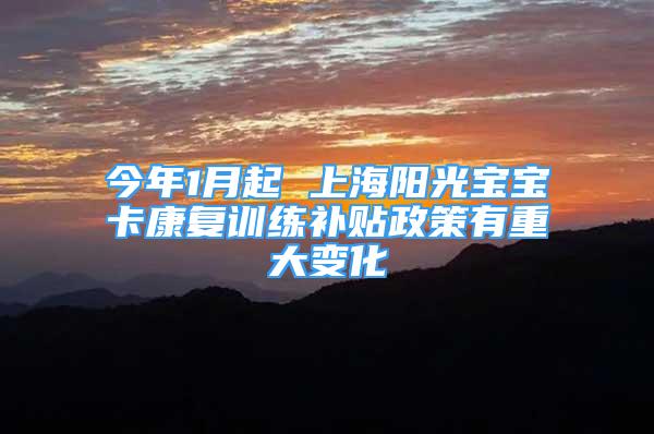 今年1月起 上海阳光宝宝卡康复训练补贴政策有重大变化