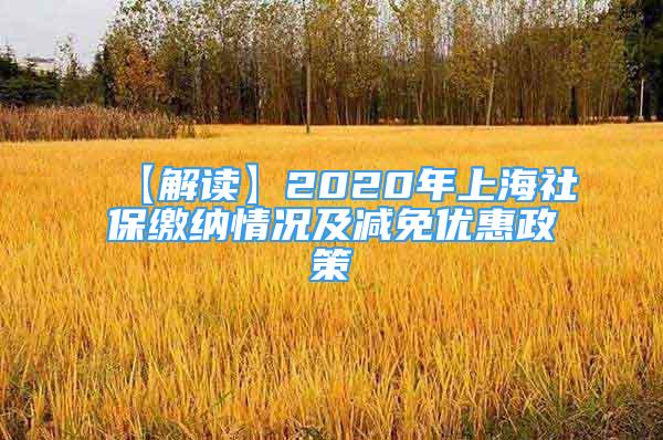 【解读】2020年上海社保缴纳情况及减免优惠政策