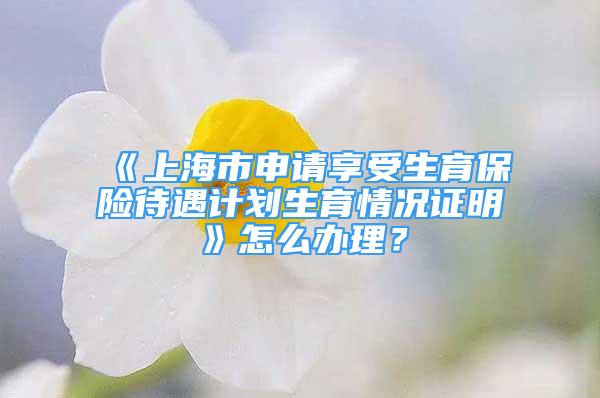 《上海市申请享受生育保险待遇计划生育情况证明》怎么办理？