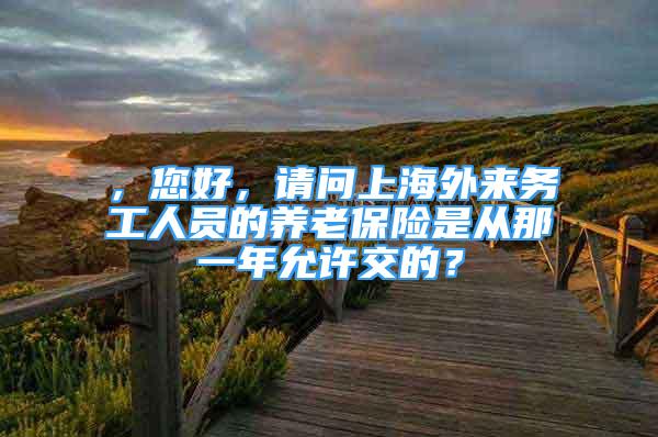 ，您好，请问上海外来务工人员的养老保险是从那一年允许交的？