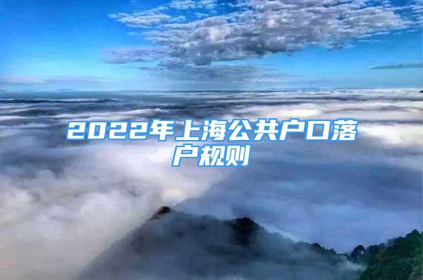 2022年上海公共户口落户规则