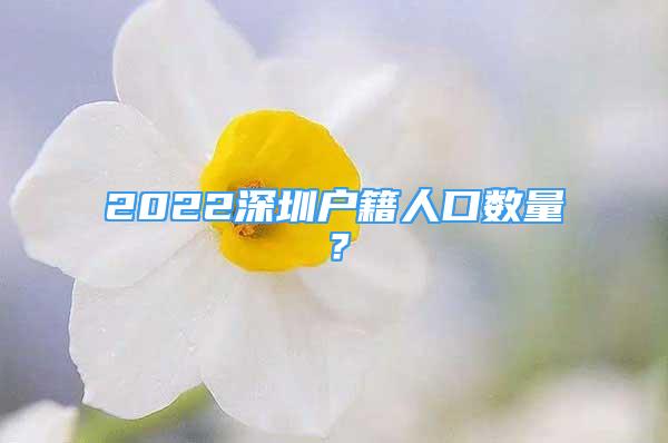 2022深圳户籍人口数量？