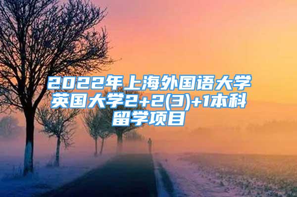 2022年上海外国语大学英国大学2+2(3)+1本科留学项目