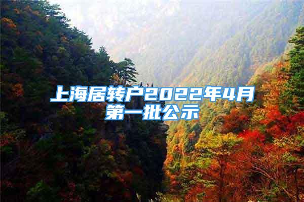 上海居转户2022年4月第一批公示