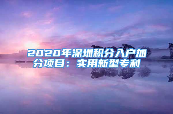 2020年深圳积分入户加分项目：实用新型专利