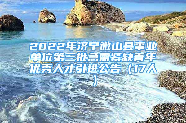 2022年济宁微山县事业单位第三批急需紧缺青年优秀人才引进公告（17人）