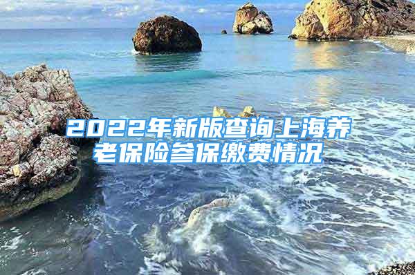 2022年新版查询上海养老保险参保缴费情况