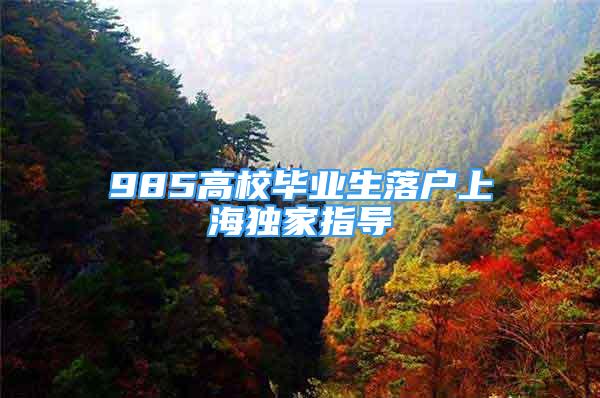 985高校毕业生落户上海独家指导